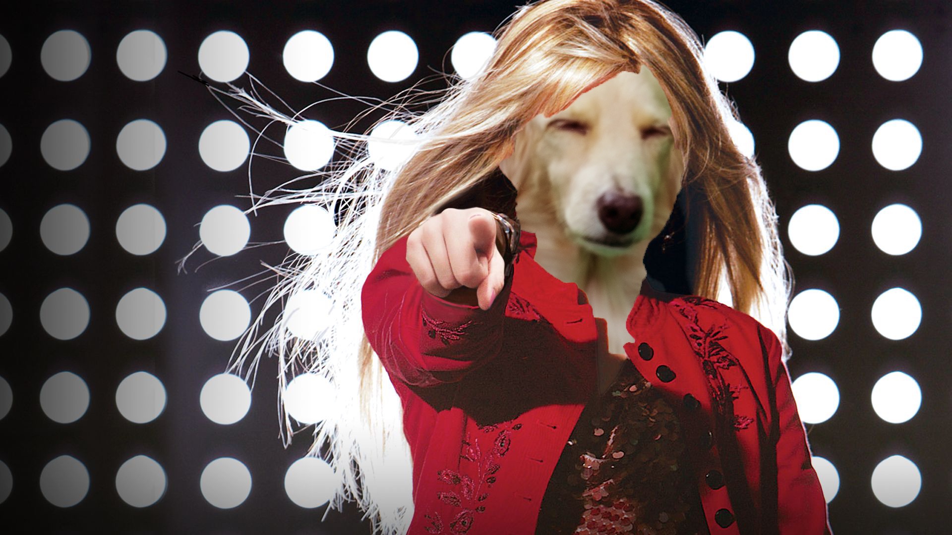 Born as a Dog 生まれてこのかた